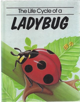 Item #101062 THE LIFE CYCLE OF A LADYBUG. Jill Bailey