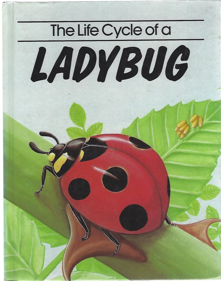 Item #101062 THE LIFE CYCLE OF A LADYBUG. Jill Bailey.
