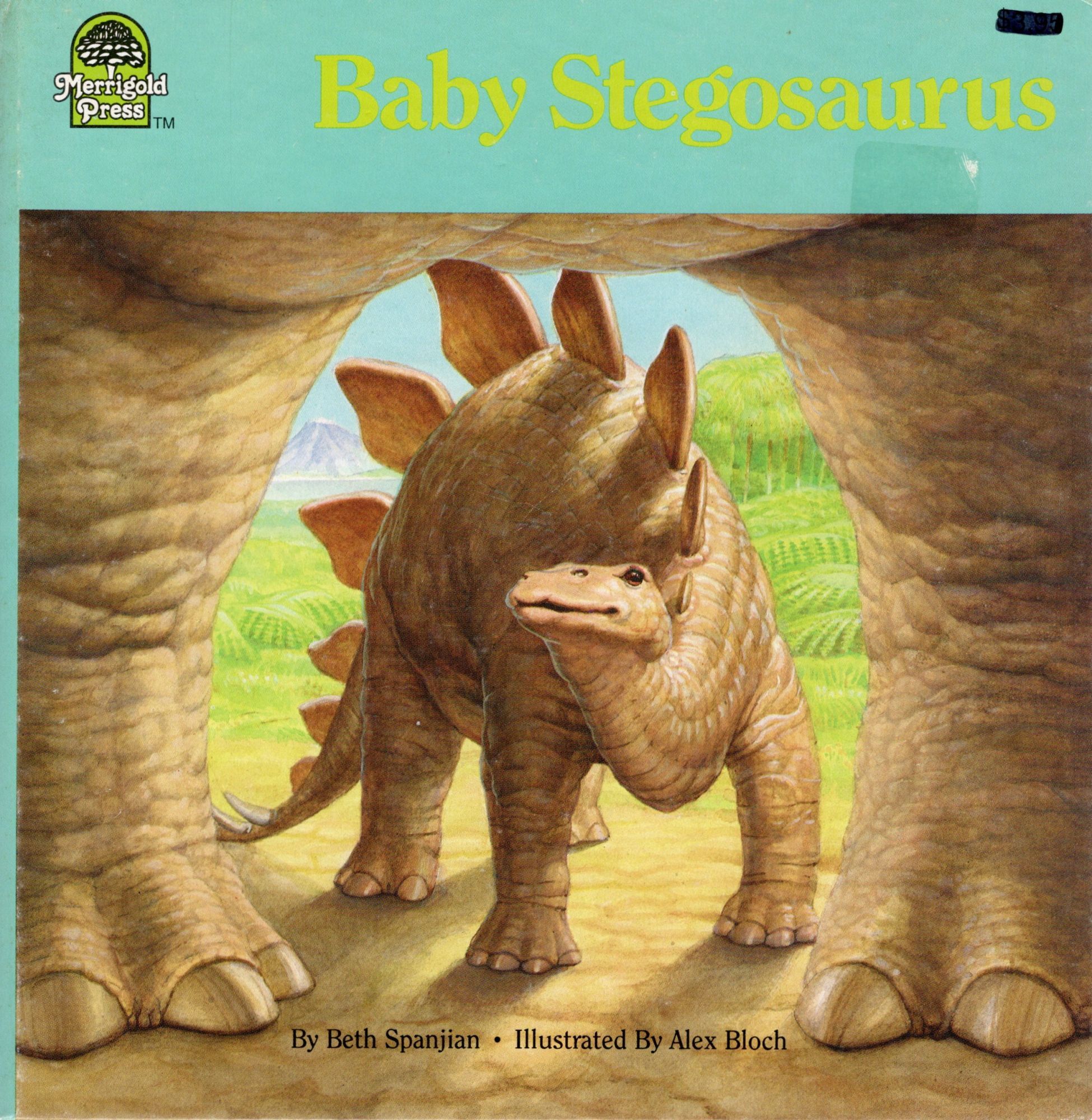 BABY STEGOSAURUS | Beth Spanjian