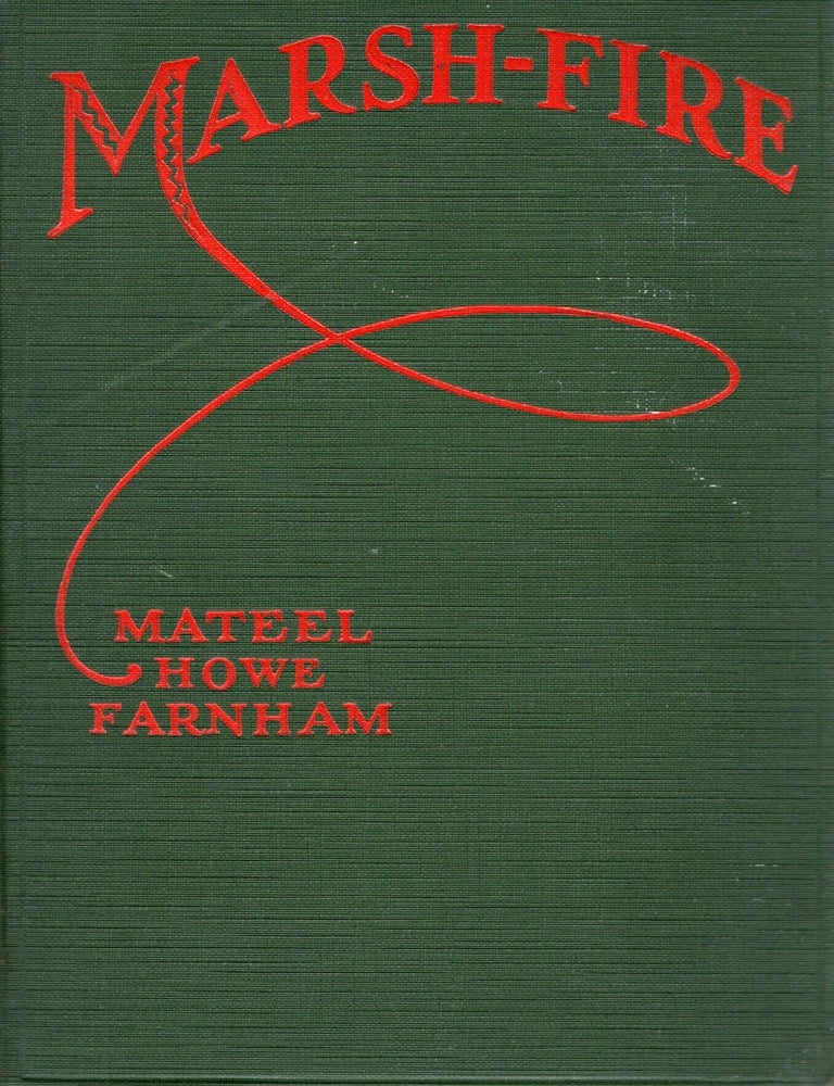 Item #78216 MARSH-FIRE. Mateel Howe Farnham.